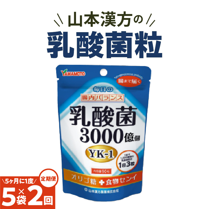 ＜5ヶ月に1度,2回送付＞乳酸菌粒　山本漢方　定期便