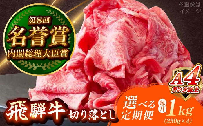 
            【選べる定期便回数】 飛騨牛 切り落とし 1kg (250g×4) 瑞浪市 / 肉のひぐち [AZDE018]
          