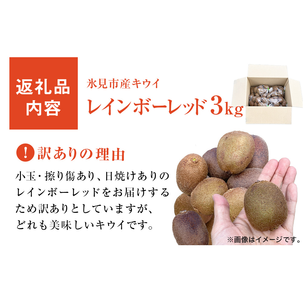 【先行予約 】訳ありレインボーレッド3kg（小玉、異形、擦り傷、日焼け） 【2025年11月以降順次発送】  数量限定 希少 国産 甘い 氷見キウイランド 富山県 氷見市_イメージ5