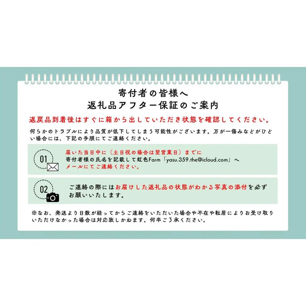 《先行受付・2026年7月お届け》【虹色Farm】国産カブトムシ成虫1ペア(飼育キット付) ｜京都 オオカブト 人気