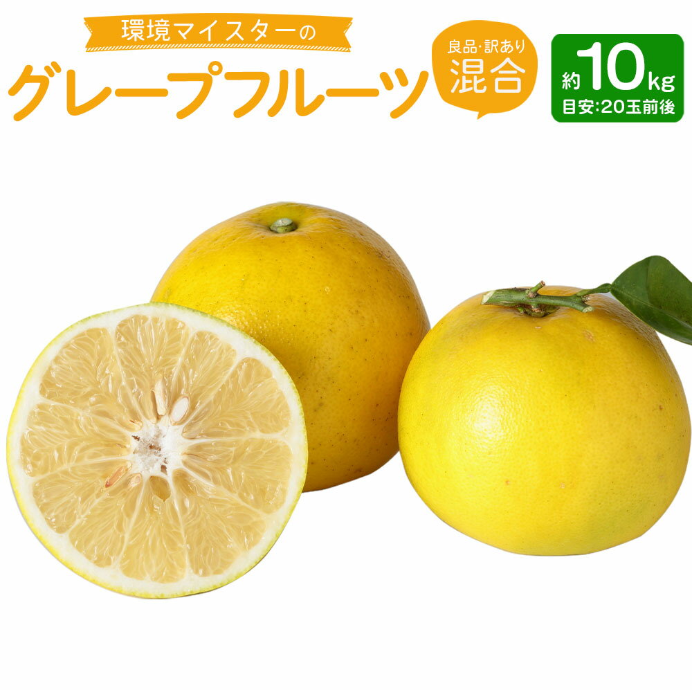 【ふるさと納税】環境マイスターの グレープフルーツ 良品 訳あり 混合 約10kg 20玉前後 （栽培期間中は無肥料・農薬不使用） 柑橘 フルーツ 果物 国産 九州産 熊本県産 冷蔵 送料無料【2026年3月下旬‐5月下旬迄順次発送予定】