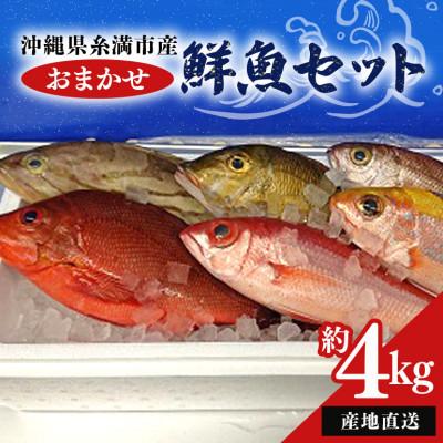 ふるさと納税 糸満市 おまかせ鮮魚セット(約4kg)
