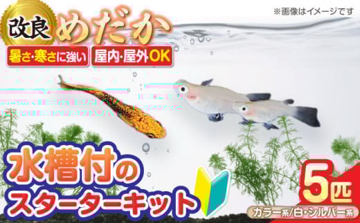 メダカスターターキット アクアリュウムタワー ブラック  メダカ めだか ビオトープ 愛西市 / 株式会社プロスパージャパン [AEAK005]