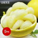 【ふるさと納税】＜土佐文旦 5kg 【数量限定】＞ 先行予約受付中 果実 果物 柑橘 フルーツ【常温】送料無料 サイズL～4L　＜2025年2月中旬以降 順次発送予定＞