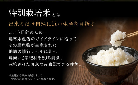京都府木津川市　ひのひかり お米　20kg　毎日の健康に（特別栽培米）053-14