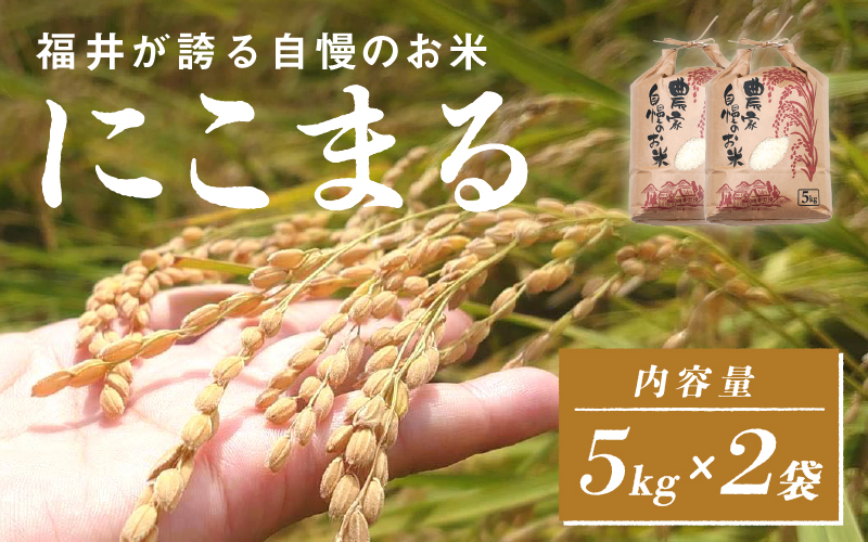 【ANA限定！50袋限定販売！！】＜2025年11月以降 順次発送予定＞令和7年産　にこまる　通常便（1回配送）計10kg（5kg×2袋）