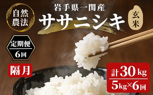 【新米先行予約】令和8年産 新米【隔月定期6回】自然農法 ササニシキ 5kg【玄米】