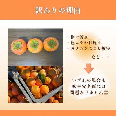 ふるさと納税 瑞穂市 【訳あり・キズあり】岐阜県瑞穂市産 富有柿 |  | 01