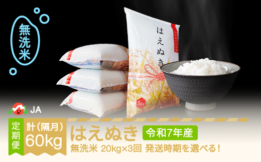 【先行予約】 新米 米 はえぬき 隔月定期便 20kg×3回 無洗米 令和7年産 2025年産 2025年10月中旬～ ja-hamxa20-k10to2b