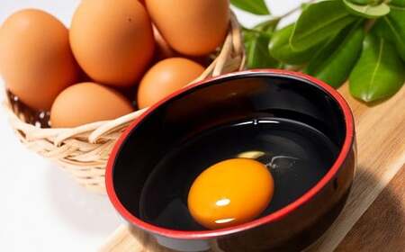 【卵 定期便6か月】京丹波こだわりたまご「葉酸たまご」30個×6回