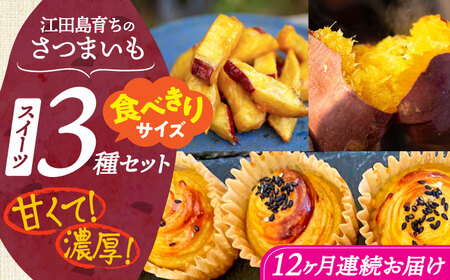 【全12回定期便】ねっとり濃厚！てくてくのさつまいもスイーツ ひとりでも！おためしサイズ3種詰め合わせ 焼き芋 人気 お菓子 デザート ギフト プレゼント 江田島市/峰商事 合同会社[XAD078]
