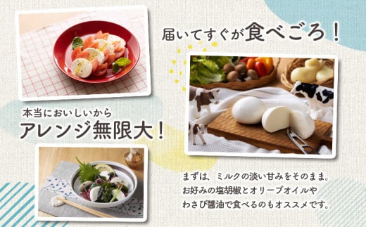 手作りモッツァレラチーズ　福島　南相馬市産【6100101】