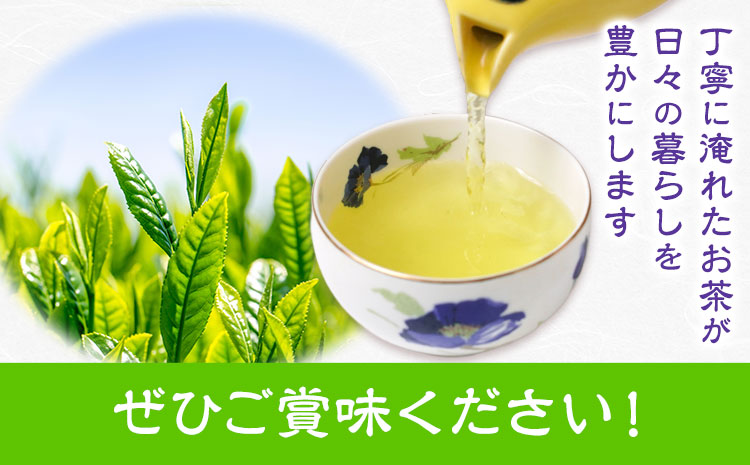 若蒸煎茶 さえみどり 新茶 80g×3袋 柳田製茶 《5月上旬より順次出荷予定(土日祝除く)》 鹿児島県 さつま町 送料無料 おうち時間 ティータイム 水出し セット 煎茶 緑茶 日本茶 ギフト 贈答 誕生日 プレゼント---stm-yng-3-240g---