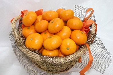 仲森農園の【完熟】熊野みかん（10kg）【11月下旬から発送】ミカン 蜜柑 柑橘 甘い 味が濃い 早生 温州みかん 温州 三重県 熊野市 熊野【nkmr0002】