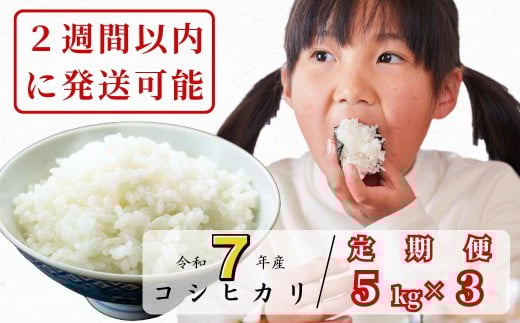 《令和7年産新米受付開始》【3回定期便】白米 5kg 令和7年産 コシヒカリ 岡山 あわくら源流米 K-af-BEFA