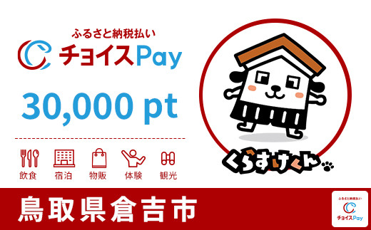 
            倉吉市チョイスPay 30,000pt【会員限定のお礼の品】
          