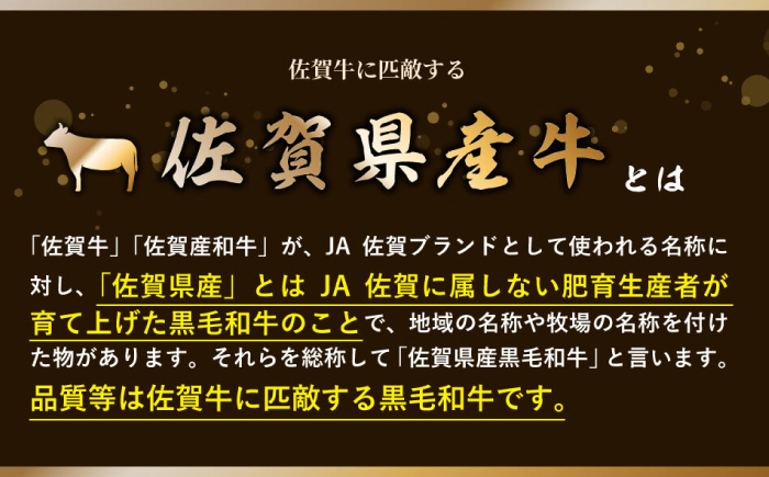 佐賀県産黒毛和牛ヒレステーキ 2枚（計400g） / 国産牛 黒毛和牛 和牛 フィレ / 佐賀県 / 佐嘉ZEYTAKUYA（株式会社弥川畜産） [41AQAA010]