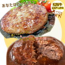 【ふるさと納税】 【 数量限定 】 松阪牛 ハンバーグ 2種の食べ比べ セット デミグラス 生 100％ 国産 松阪牛 松坂牛 肉 ミンチ 加工 食べ比べ 今だけ 2種 グルメ たっぷり 和風 洋風 三重県産 まとめ買い 無添加