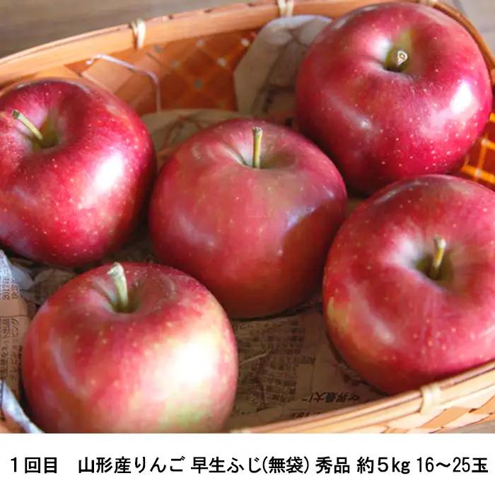 【定期便2回】ふるさとからの贈り物 りんごとラフランス便【令和8年産先行予約】FS23-657