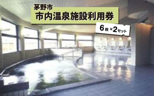 
            市内温泉施設利用券6枚×2セット【1492113】
          