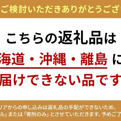 ぶどう 2026年 先行予約 シャイン マスカット 晴王 600g以上×1房 岡山県産 シャインマスカット