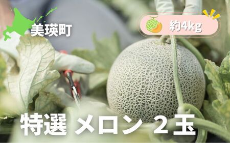 ≪令和７年産予約受付！≫美瑛選果　特選メロン2玉(約4kg) | 赤肉メロン 赤肉 北海道 道産 送料無料 産地直送 数量限定 果物 フルーツ [020-84]