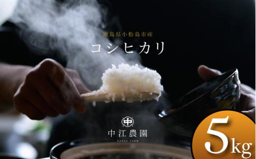 令和7年産 コシヒカリ 5kg 白米 米 数量 限定 こしひかり 5キロ 米5kg ごはん こめ コメ はくまい okome kome おむすび おにぎり 国産 飯 おこめ 小松島市