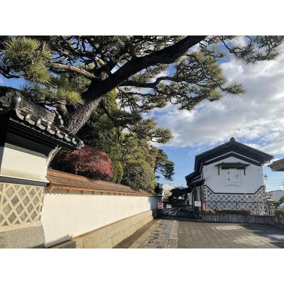ふるさと納税 角田市 【角田市郷土資料館】角田石川家に嫁いだ伊達政宗の次女『牟宇姫への手紙2　伊達政宗ほか男性編』 |  | 03