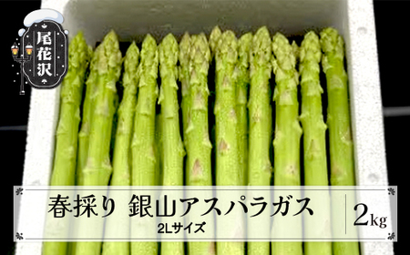 【先行予約】 春採り 銀山アスパラガス 2Lサイズ(極太) 2kg 令和9年産 nk-vga2x2