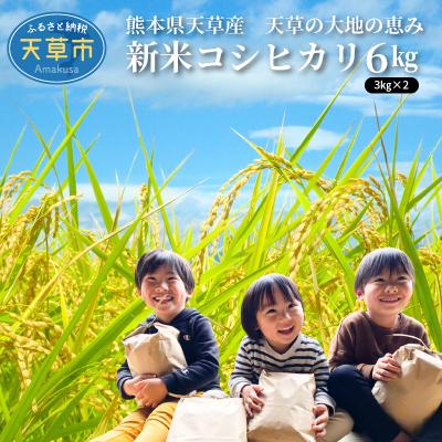 ふるさと納税 天草市 〈令和8年産〉熊本県天草産　天草の大地の恵み　新米コシヒカリ6kg【先行受付】_S108-003A