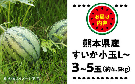 【2026年 先行予約】【数量限定】小玉すいか L以上 3～5玉入り 約4.5kg【日本フルーツ株式会社】[AYDA010]