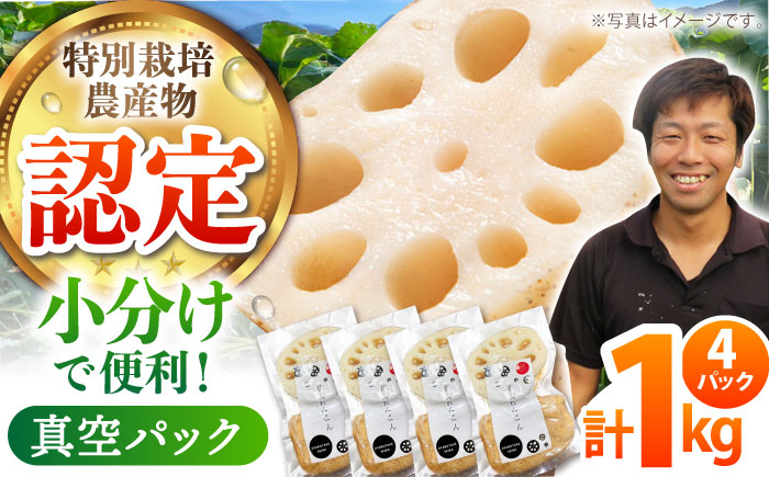 
【特別栽培農産物 認定】＜地元江北町産＞佐賀 れんこんパック 1kg ( 250g×4 ) 【百武青果】 [HAE013]
