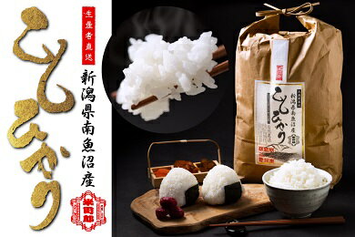 【ふるさと納税】【令和7年産】【精米】自然農法/化学肥料不使用の南魚沼産こしひかり5kg | お米 こめ 白米 コシヒカリ 食品 人気 おすすめ 送料無料 魚沼 南魚沼 南魚沼市 新潟県産 新潟県 精米 産直 産地直送 お取り寄せ