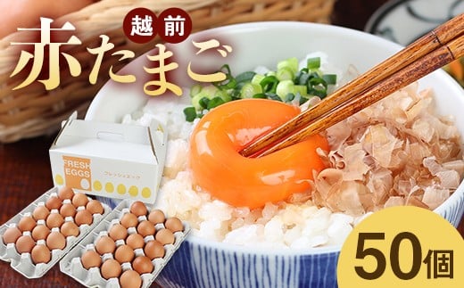 ミネラルを豊富に含んだ越前赤玉子50個（45個＋卵割れ補償5個）2023年2月28日テレビ朝日　羽鳥慎一【モーニングショー】　＜知っておきたいＮＥＷＳ検定＞「ふるさと納税で異変・高騰の卵人気」コーナーにて　本返礼品が取り上げられました！