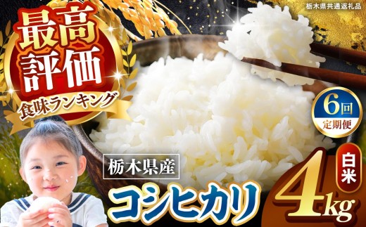 栃木県産 こしひかり 白米 4kg 2026年 先行予約 | 栃木県 矢板市