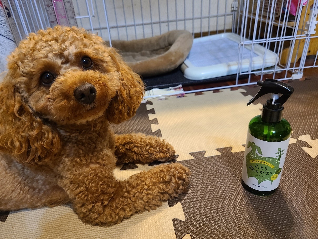 三河産天然木の消臭剤「消臭木」犬消臭
