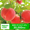 【ふるさと納税】山梨県山梨市の対象施設で使える楽天トラベルクーポン寄付額100,000円（クーポン額30,000円）