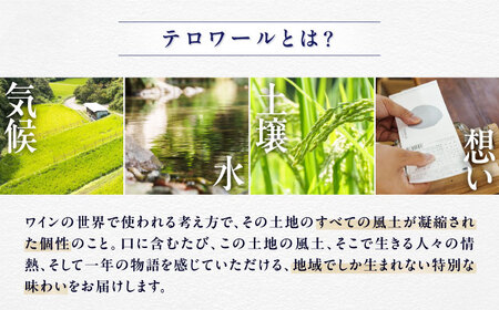 【12月下旬より順次発送】【限定2400本】TERROIR LAB 大洲・神南乃酒(かんなんのさけ) 375ml×3本 愛媛県大洲市/酒乃さわだ 大洲 日本酒 清酒 地酒[AGDU003]