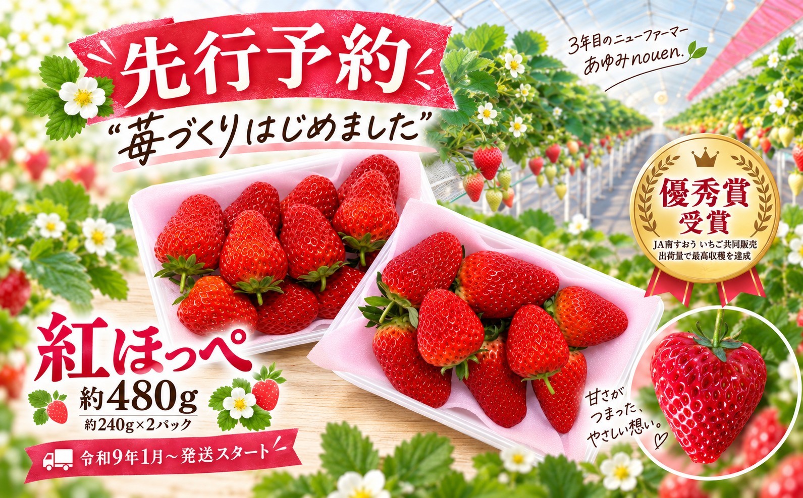 
                  【 令和 8 年度 先行予約 】  “ 苺づくりはじめました ” 紅ほっぺ 約 480 g （ 令和8年1月初旬～順次発送予定 ） ｜ 紅ほっぺ いちご イチゴ 苺 産地直送 先行予約 果実 製菓 青果 旬の味覚 事業者応援 農産物 産地継承 贈答用 冬限定 果物 フルーツ おやつ デザート スイーツ 山口県 平生町
                