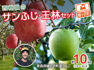 【先行予約】《特選》青森県産 りんご サンふじ 王林 約10kg りんご【11月～発送】