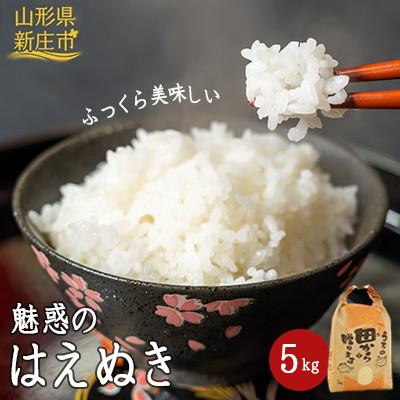 ふるさと納税 新庄市 魅惑のはえぬき(精米)5kg　令和7年産