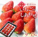 【ふるさと納税】≪先行予約≫ 愛知県・田原産 ブランドいちご『いちごのしあわせ』約9粒～15粒 2025年1月～発送開始 大粒 激甘 イチゴ 激甘 いちご 激甘 苺 果物 激甘 くだもの 激甘 フルーツ ブランド 贅沢品 激甘 贈答品 激甘 お取り寄せ田原市 産地直送 送料無料