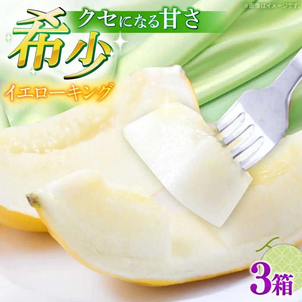 【2027年5月-発送】メロン イエローキング 3箱（1箱 3-6玉） / メロン めろん フルーツ 果物 / 南島原市 / 南島原果物屋[SCV041]