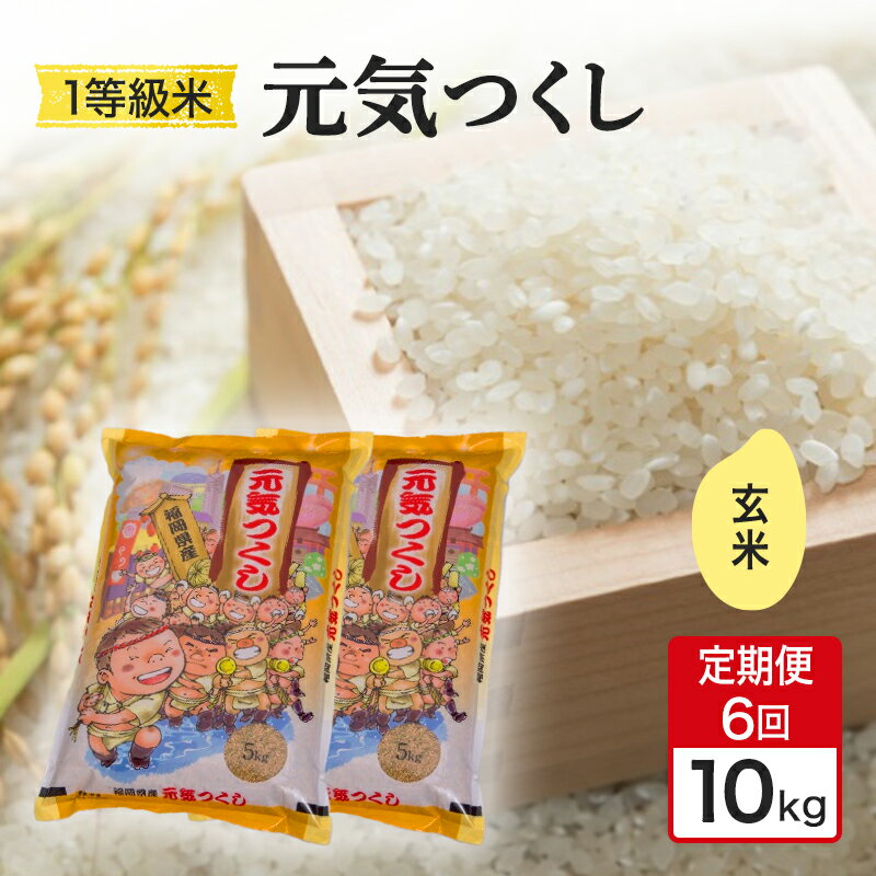 【ふるさと納税】定期便 6回 米 1粒からこだわる 1等級米 元気つくし 玄米 10kg お米 コメ お楽しみ 6ヶ月 令和7年度産