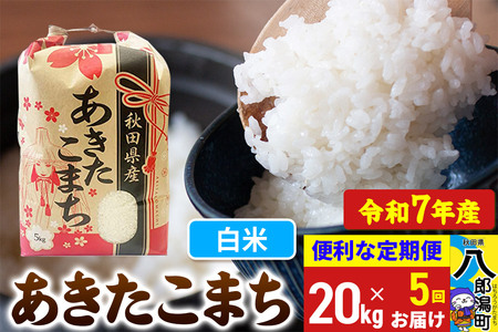 《定期便5ヶ月》【新米】 あきたこまち 20kg【白米】令和7年産 秋田県産 こまちライン