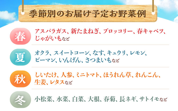 【3回定期便】諫早産野菜の詰め合わせ(8～9品目程度) / 季節 旬 野菜 春野菜 夏野菜 秋野菜  / 諫早市 / 肥前グローカル株式会社 [AHDI001]
