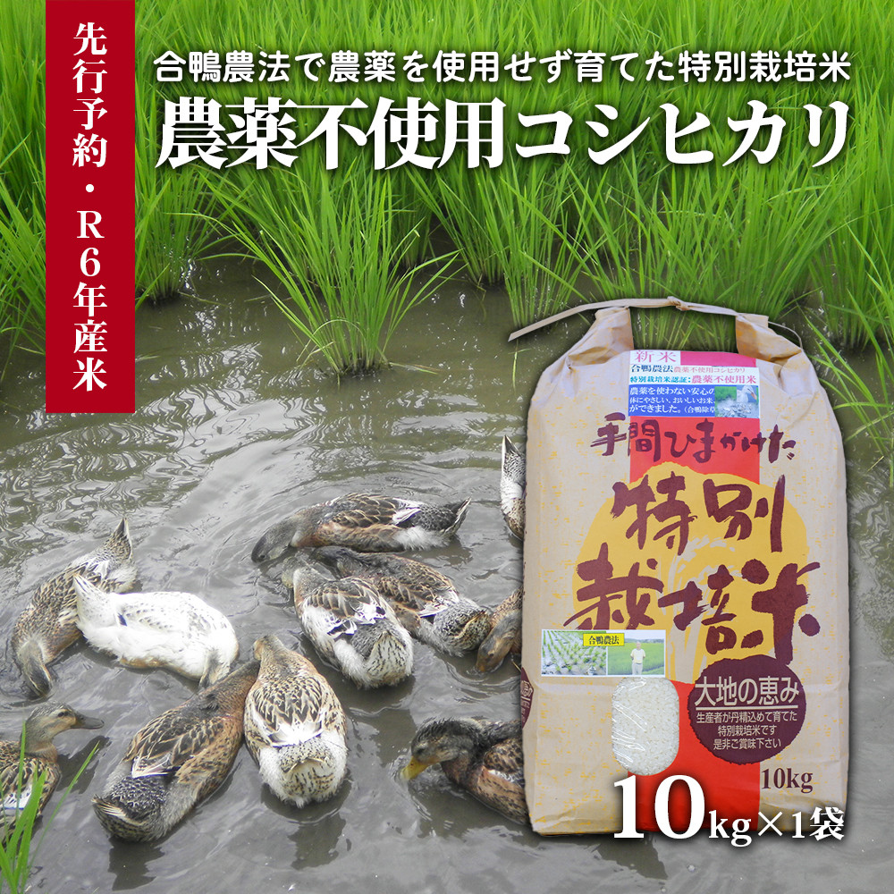 
【令和6年産米】農薬不使用コシヒカリ 合鴨農法　10kg(特別栽培米、旧名：会津磐梯山宝米）
