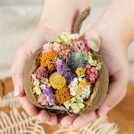ナッツのドライフラワーアレンジメント_花・観葉植物  花 _【1418477】