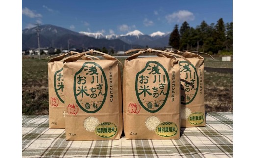 産直センター　特別栽培米コシヒカリ「８㎏」　