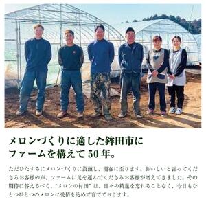 【2026年7月～発送】 アールスメロン 2玉 計4kg～4.5kg 青肉メロン